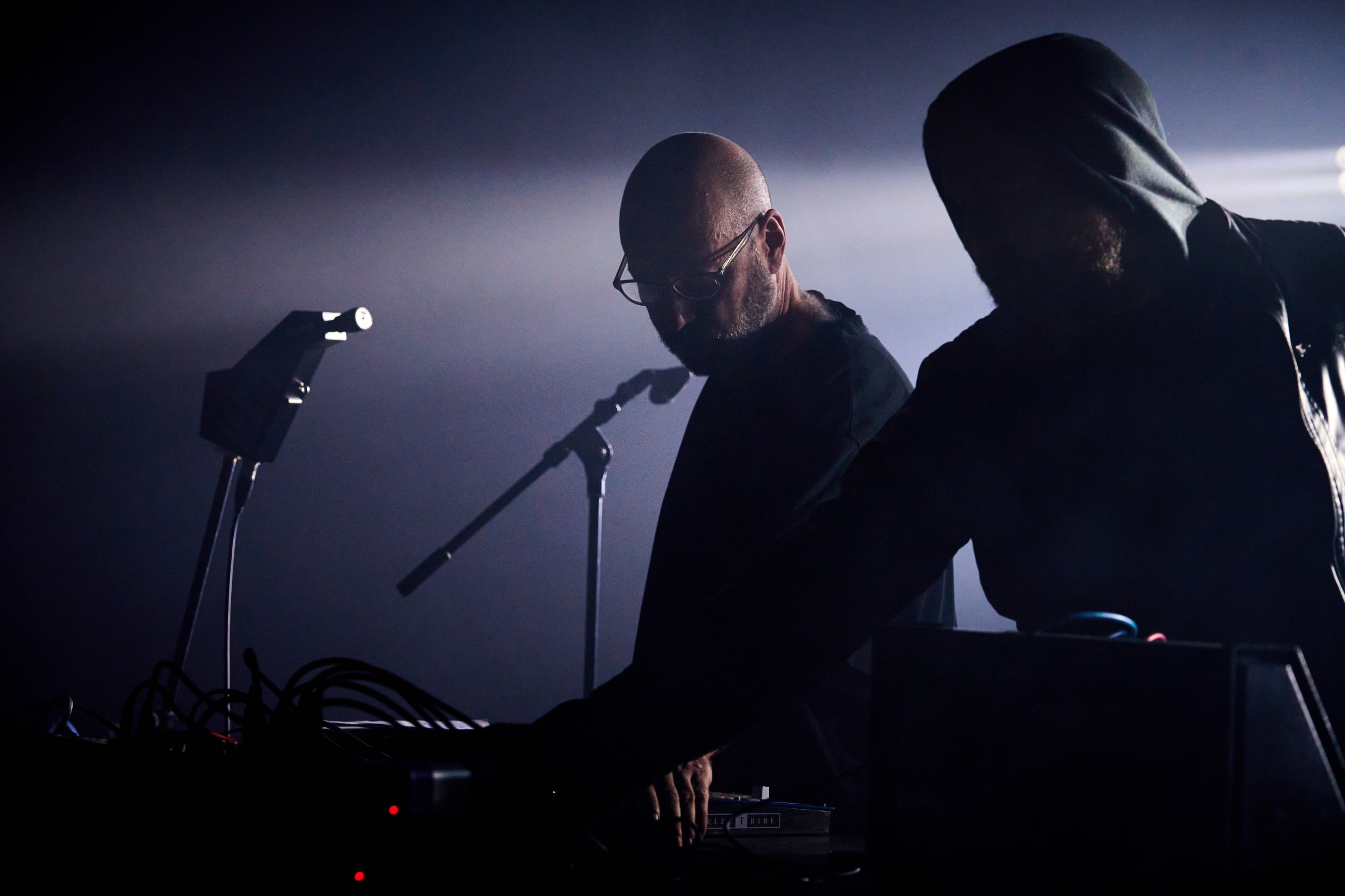 2024 09 13 Auditiver Cortex 1164